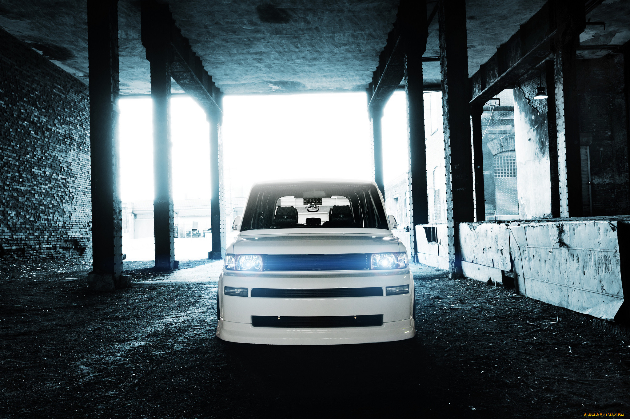 , scion